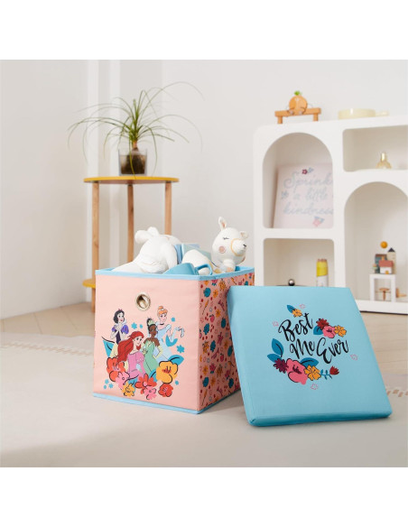 Cubo de Almacenamiento Plegable Idea Nuova Princesa 25,4 cm