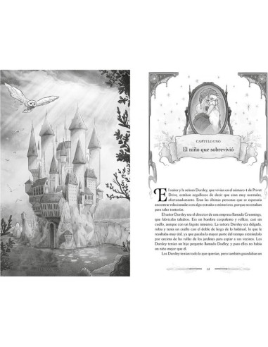 Harry Potter y la piedra filosofal (Harry Potter [edición con ilustraciones de Xavier Bonet] 1)