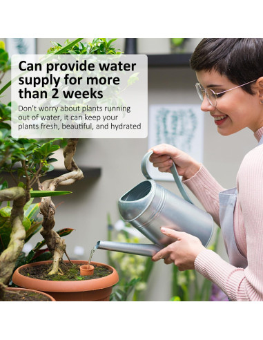 4 Esferas de Riego para Plantas Lovely Ran de Cerámica 50.9cm