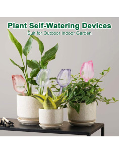 Esferas de Riego Automático Adoric para Plantas - 4 Tulipanes 2