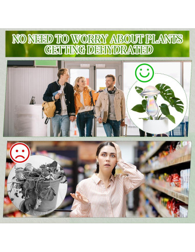 2 Esferas de Riego Automático de Vidrio 500 ml para Plantas