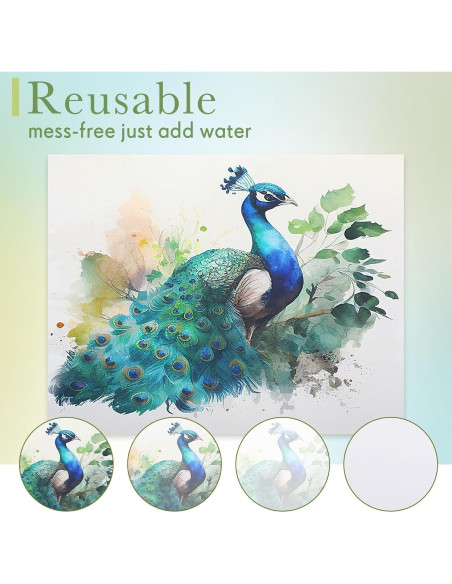 Set de Pintura de Agua Dinifee para Ancianos 75 Piezas