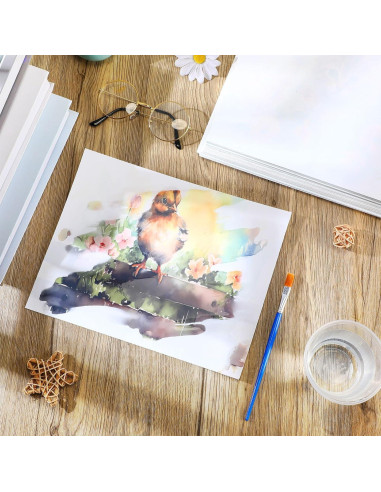 Set de Pintura de Agua Dinifee para Ancianos 75 Piezas