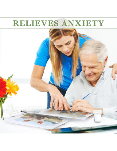 Set de Pintura de Agua Dinifee para Ancianos 75 Piezas