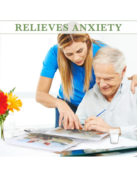 Set de Pintura de Agua Dinifee para Ancianos 75 Piezas