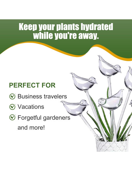 6 Bombillas de Riego Automático ZHUSSZHU para Plantas 25 cm