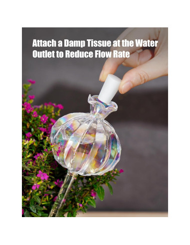 Esferas de Riego Automático NiHome 2-Pack Cactus Iridiscente 140ml