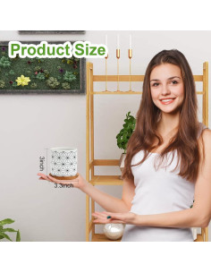 Paquete de 6 Macetas Suculentas Laerjin 7.62 cm Cerámica Drenaje 2