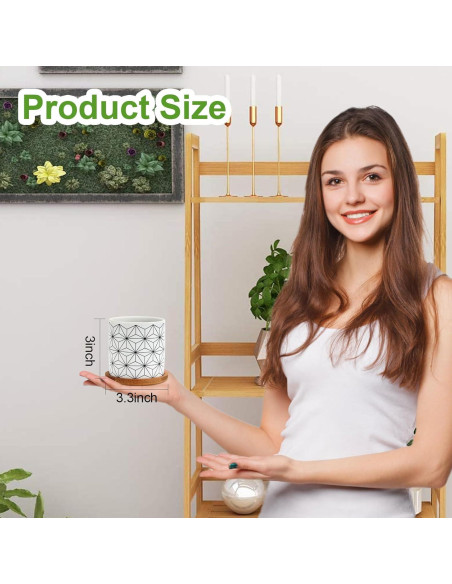 Paquete de 6 Macetas Suculentas Laerjin 7.62 cm Cerámica Drenaje