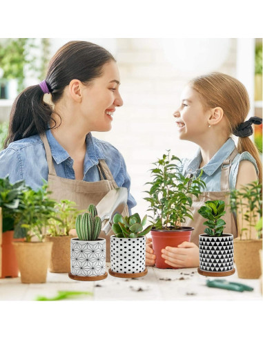 Paquete de 6 Macetas Suculentas Laerjin 7.62 cm Cerámica Drenaje