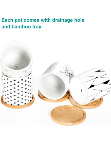 Paquete de 6 Macetas Suculentas Laerjin 7.62 cm Cerámica Drenaje