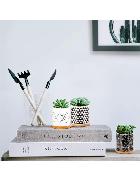 Paquete de 6 Macetas Suculentas Laerjin 7.62 cm Cerámica Drenaje