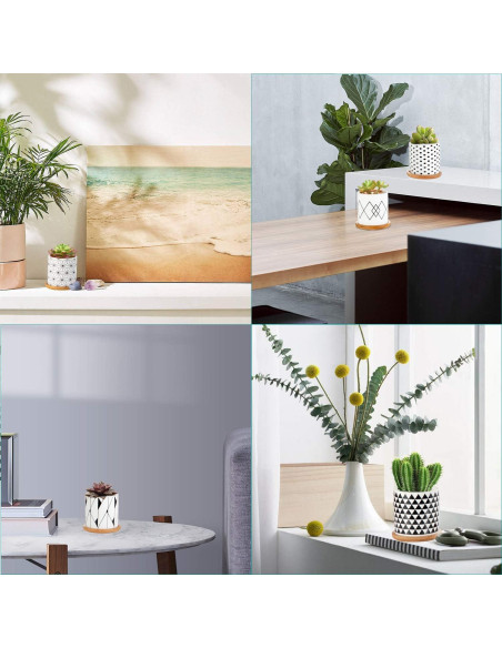 Paquete de 6 Macetas Suculentas Laerjin 7.62 cm Cerámica Drenaje