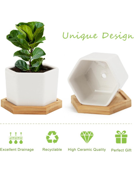 Macetas Suculentas OAMCEG 10.16 cm Cerámica Blanca - 4 Pzas