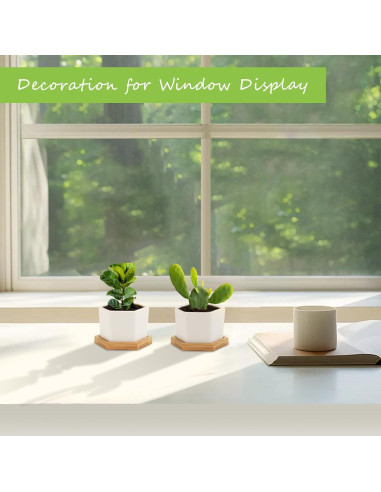 Macetas Suculentas OAMCEG 10.16 cm Cerámica Blanca - 4 Pzas