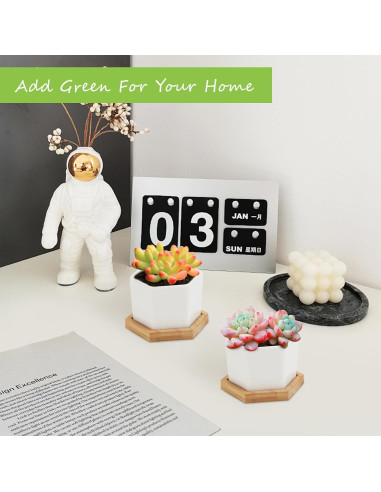 Macetas Suculentas OAMCEG 10.16 cm Cerámica Blanca - 4 Pzas