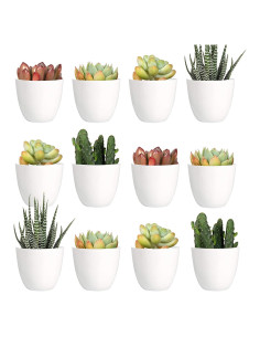 Juego de 24 Macetas de Plástico Youngever 5.08 cm Drenaje