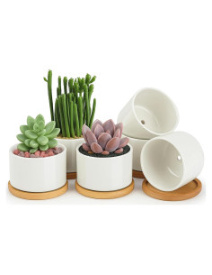 Macetas Cerámicas ZOUTOG para Suculentas 9.1 cm - Paquete de 6