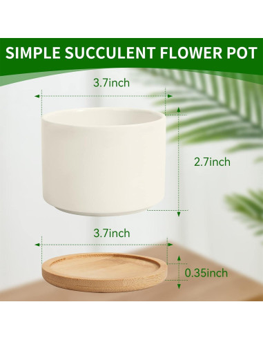 Macetas Cerámicas ZOUTOG para Suculentas 9.1 cm - Paquete de 6