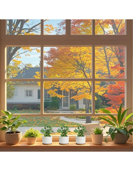 Macetas Cerámicas ZOUTOG para Suculentas 9.1 cm - Paquete de 6