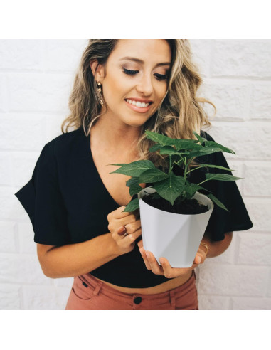 Macetas de Plástico InmeRun 5" Set de 6 con Drenaje