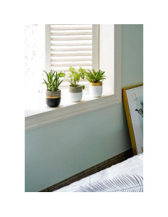 Maceteros de Cemento Dahey 3 Pack 10.16 cm para Suculentas 2