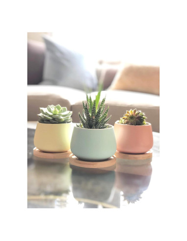 Macetas Cerámicas Redondas Chez JuJu 3" Surtidas Azul Rosa Amarillo