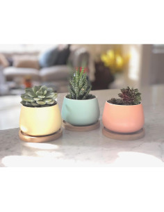 Macetas Cerámicas Redondas Chez JuJu 3" Surtidas Azul Rosa Amarillo 2