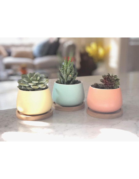 Macetas Cerámicas Redondas Chez JuJu 3" Surtidas Azul Rosa Amarillo