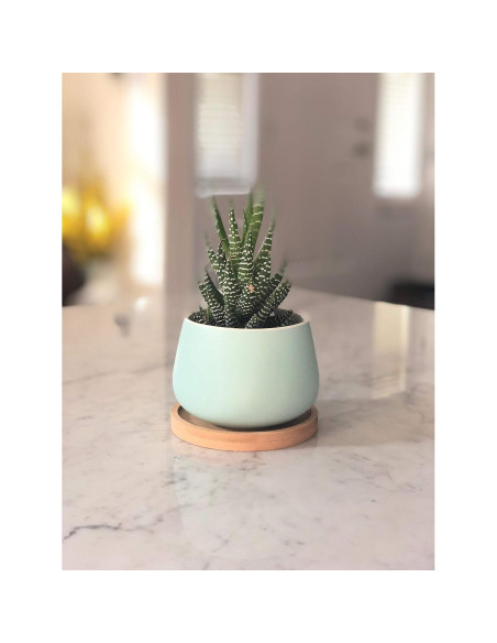 Macetas Cerámicas Redondas Chez JuJu 3" Surtidas Azul Rosa Amarillo