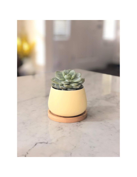 Macetas Cerámicas Redondas Chez JuJu 3" Surtidas Azul Rosa Amarillo