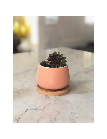 Macetas Cerámicas Redondas Chez JuJu 3" Surtidas Azul Rosa Amarillo