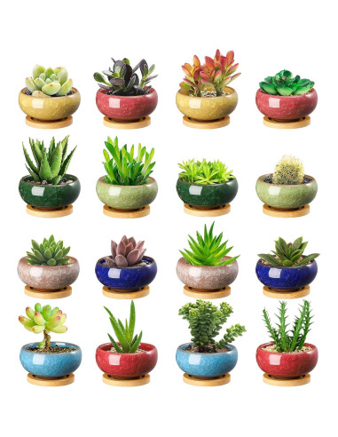 TOPZEA 16 Mini Macetas de Cerámica para Suculentas 6.35 cm