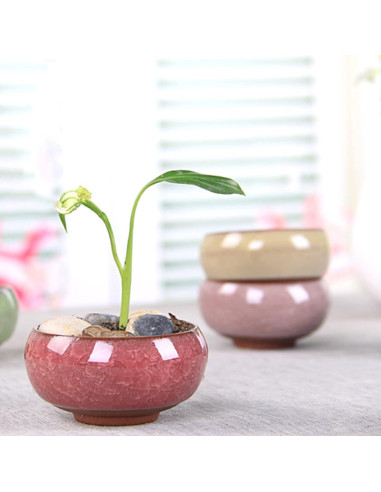 TOPZEA 16 Mini Macetas de Cerámica para Suculentas 6.35 cm