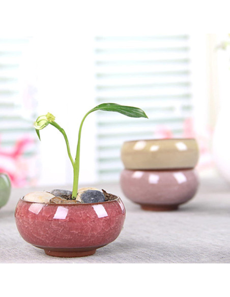 TOPZEA 16 Mini Macetas de Cerámica para Suculentas 6.35 cm