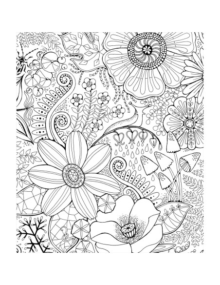 Color & Frame - In the Forest (Adult Coloring Book)