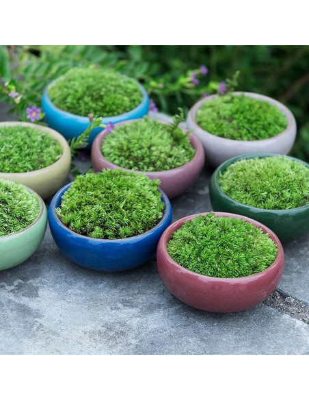 TOPZEA 16 Mini Macetas de Cerámica para Suculentas 6.35 cm