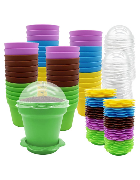 50 Macetas de Vivero PURPLE STAR 1N con Domo de Humedad