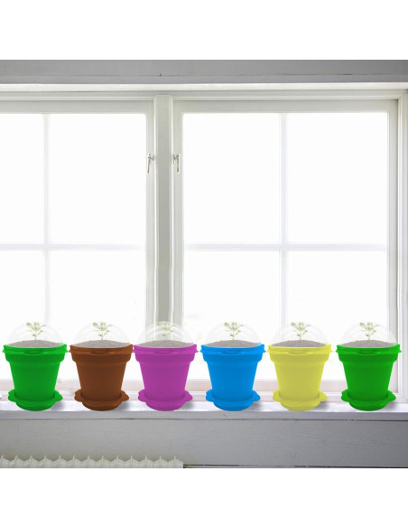 50 Macetas de Vivero PURPLE STAR 1N con Domo de Humedad