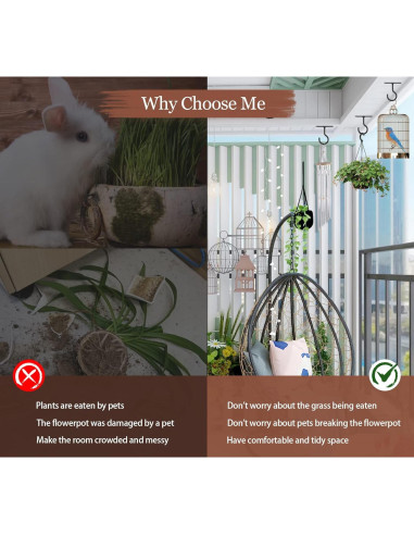 Ganchos de Techo ASZUNE 2.5in (6.35cm) para Plantas - 2 Piezas