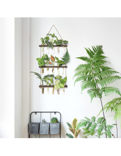 Terrario Colgante de Pared Mkono 3 Niveles con Soporte de Madera 2