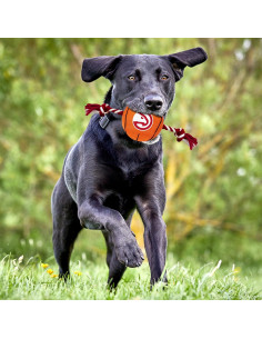 Juguete para mascotas Pets First Baloncesto NBA Atlanta Hawks 2