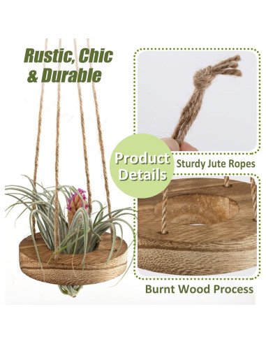 Soporte Colgante de Madera para Plantas de Aire ANPHSIN - 6 Pcs