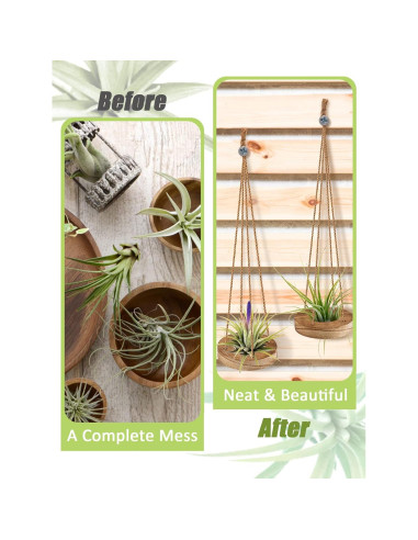 Soporte Colgante de Madera para Plantas de Aire ANPHSIN - 6 Pcs