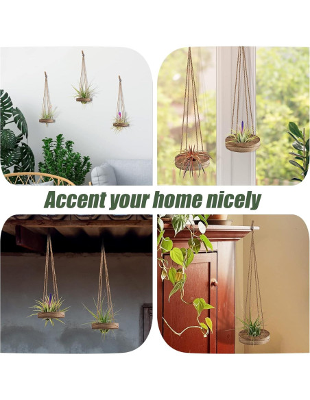 Soporte Colgante de Madera para Plantas de Aire ANPHSIN - 6 Pcs