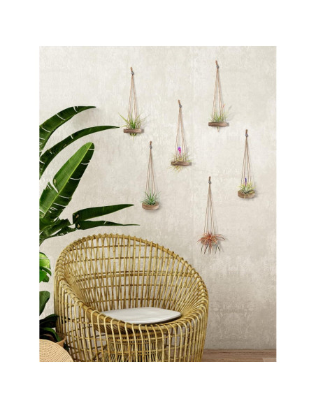 Soporte Colgante de Madera para Plantas de Aire ANPHSIN - 6 Pcs