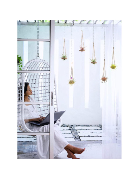 Soporte Colgante de Madera para Plantas de Aire ANPHSIN - 6 Pcs