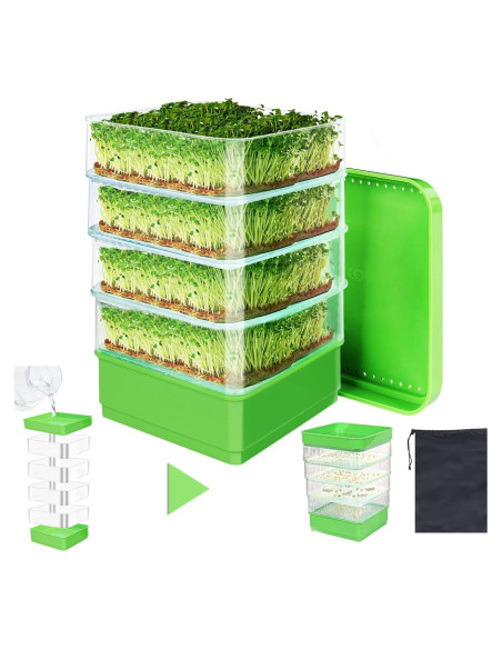Kit de Germinación de Semillas PHAIN 4 Niveles Verde Drenaje