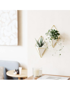 Maceta Colgante Umbra Trigg Pequeña Blanca y Latón, Juego de 2 2