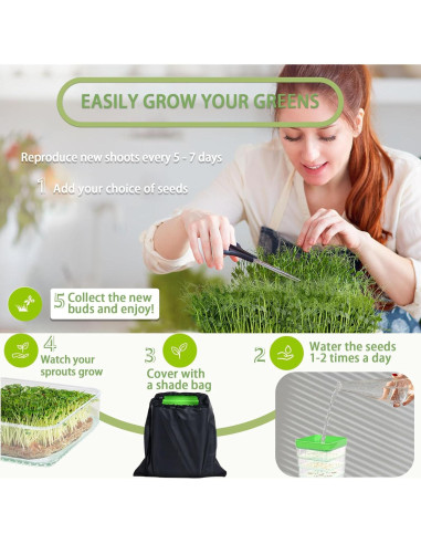 Kit de Germinación de Semillas PHAIN 4 Niveles Verde Drenaje